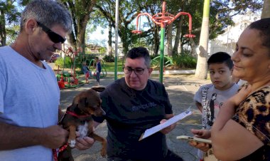 Projeto ‘Castração é a Solução’ retoma as atividades em Criciúma; confira o calendário