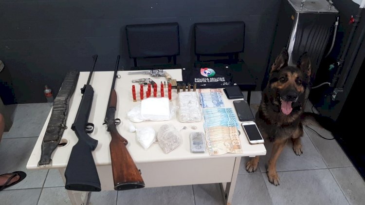 Cão de faro ajuda PM a localizar drogas e armas em Criciúma