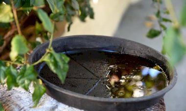 Combate à dengue é tema de reunião entre órgãos da Prefeitura de Criciúma