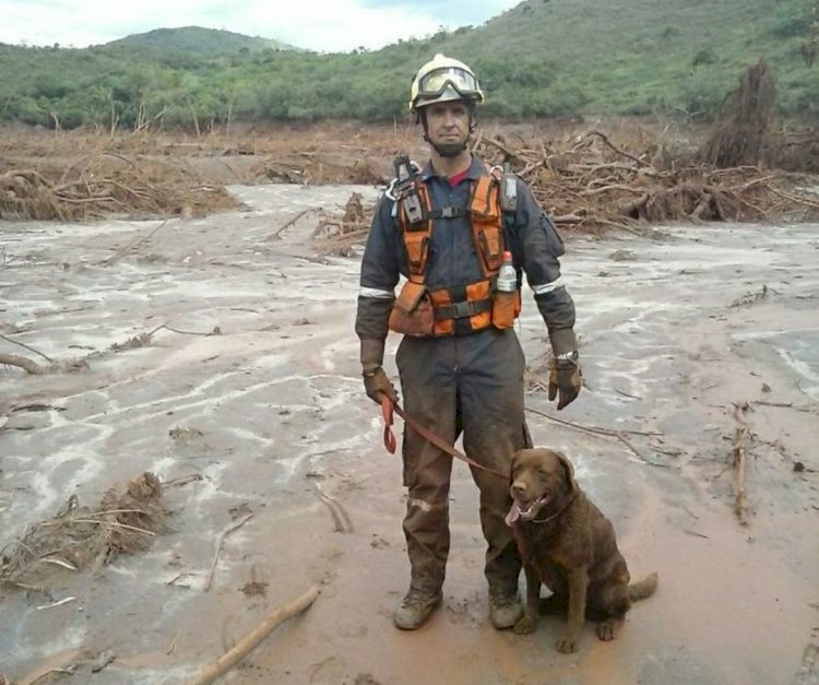 BBM se despede da Mel, cão de busca aposentada em Araranguá