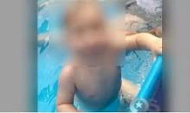 Menino levado clandestinamente para São Paulo chega a Santa Catarina