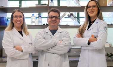 Profissionais da Unesc compõem ranking mundial de pesquisadores