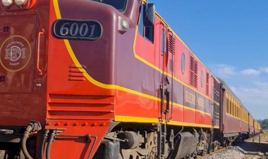 Turismo em Criciúma: um retorno ao passado com o passeio de Maria Fumaça