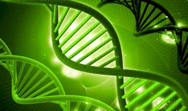 Mal falada em cidade após erro em exame de DNA, jovem será indenizada por laboratórios