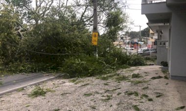Arvore cai e interdita principal rua de Morro da Fumaça