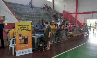 Castração é a Solução: prefeitura realiza 114 procedimentos e beneficia animais dos bairros Santo Antônio e Operária Nova