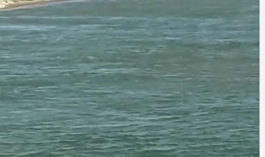 Suspeito de matar um homem na praia do Torneiro é preso pela Polícia Civil