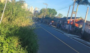 Limpeza de terrenos baldios serão intensificadas em Criciúma