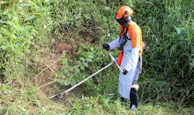 Limpeza de terrenos baldios em Criciúma estão sendo executados pela prefeitura