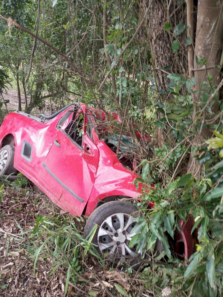 MOTORISTA MORRE AO COLIDIR EM ÁRVORE