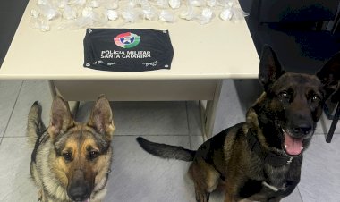 PM APREENDE MAIS DE MEIO KG DE COCAÍNA EM CASA ABANDONADA