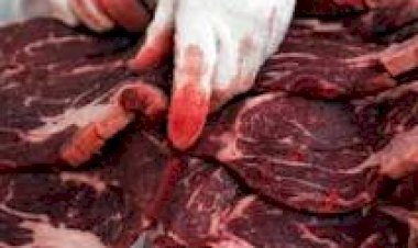 JUSTIÇA CONDENA PESSOAS ENVOLVIDAS EM ABATEDOURO CLANDESTINO