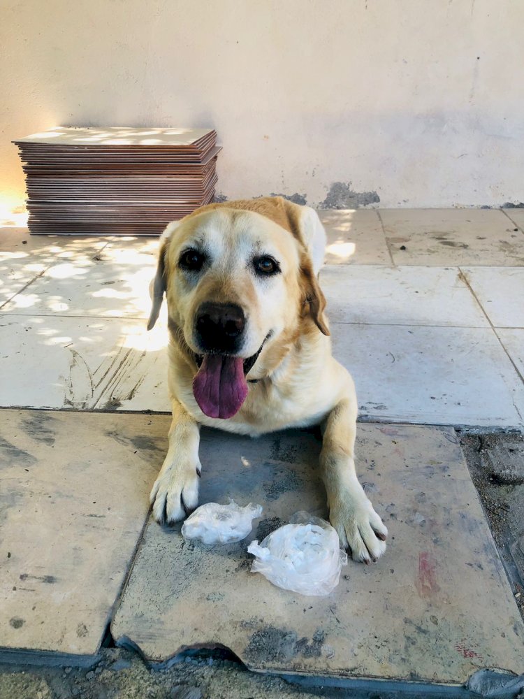 Droga é apreendida em casa abandonada no Cristo Redentor