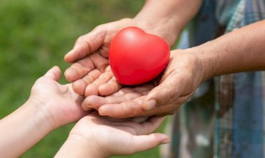 Hospital S. José realiza a quarta captação de órgãos de 2025