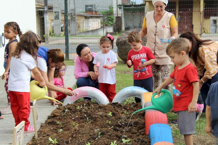 Afasc abre concurso "Plantar, colher e aprender" para promover alimentação saudável e consciência ambiental entre crianças