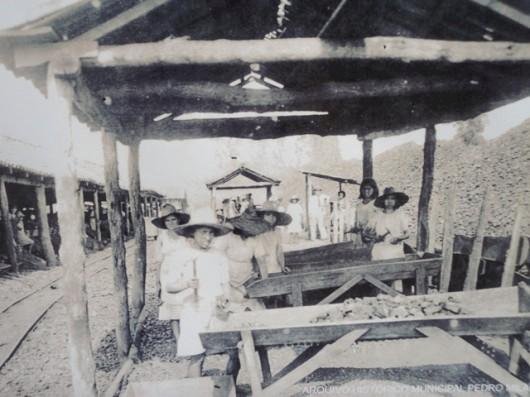 Mulheres que desafiaram barreiras e marcaram a história do carvão serão homenageadas no Criciúma Mulher 2025