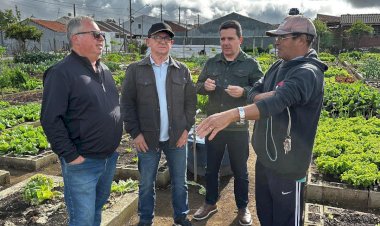 Câmara de Criciúma acompanha experiências em Curitiba que podem ser aplicadas no município