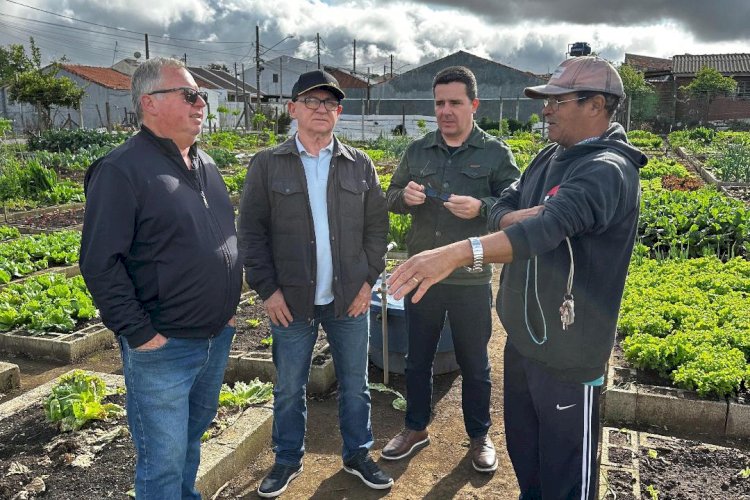 Câmara de Criciúma acompanha experiências em Curitiba que podem ser aplicadas no município