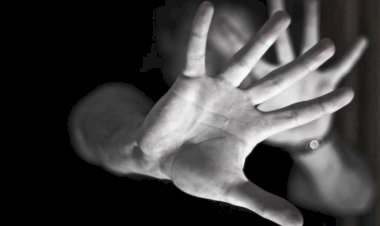 Polícia Registra Estupro de Vulnerável contra uma menina de 4 anos em Criciúma