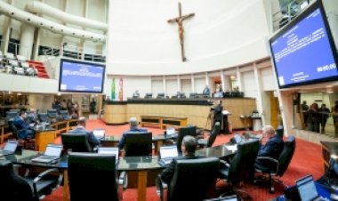 Projeto sobre comunicação de nascimentos sem identificação de paternidade é aprovado