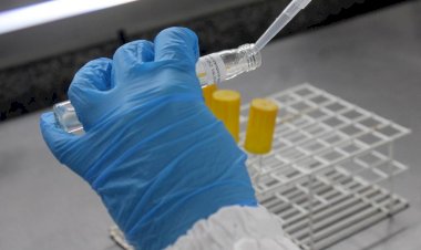 Laboratório de Microbiologia do Iparque passa por melhorias e recebe nova acreditação do Inmetro