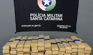 PM apreende mais de 70 kg de maconha e prende homem por tráfico de drogas