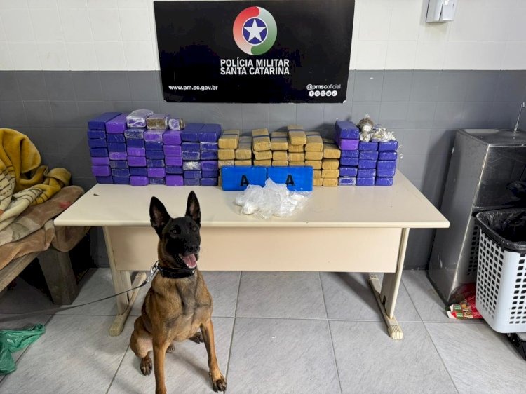 PM apreende mais de 70 kg de drogas e prende homem em flagrante em Forquilhinha