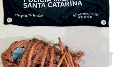 GATUNO E RECEPTADOR SÃO PRESOS POR ROUBO E COMPRA DE FIOS