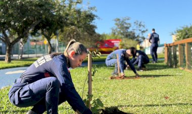 Projeto ambiental dos bombeiros ultrapassa a marca de 500 mudas plantadas no Sul catarinense