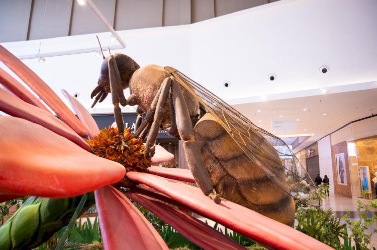 Abelha de oito metros é destaque de exposição com insetos gigantes no Nações Shopping