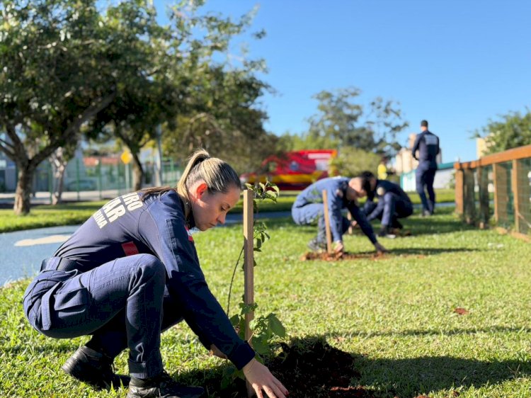 Projeto ambiental dos bombeiros ultrapassa a marca de 500 mudas plantadas no Sul catarinense