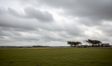 Previsão do tempo: ventos podem superar 80 km/h em algumas regiões de Santa Catarina