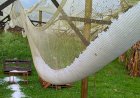 Chuva forte causa estragos em 14 municípios de Santa Catarina e risco de temporais segue alto até sábado