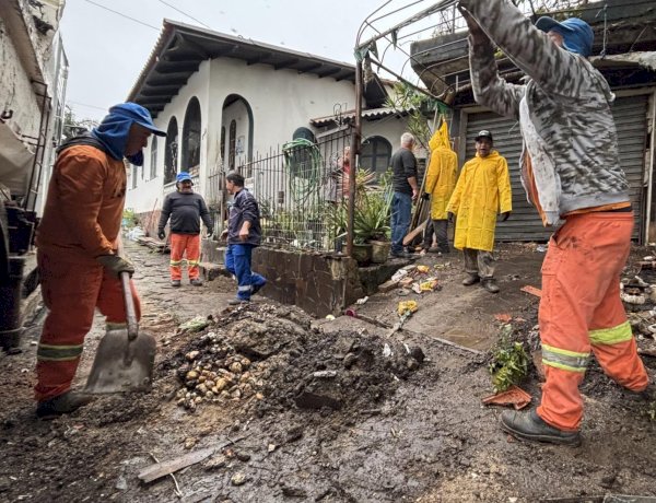 Prefeitura de Criciúma realiza intervenção em casa com grande acúmulo de resíduos no bairro São Cristovãol