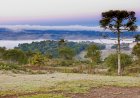 Frio persiste em Santa Catarina nesta semana e chuva forte retorna a partir de sexta