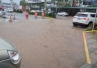 Equipes da Prefeitura de Criciúma atuam diante de impactos provocados pela chuva