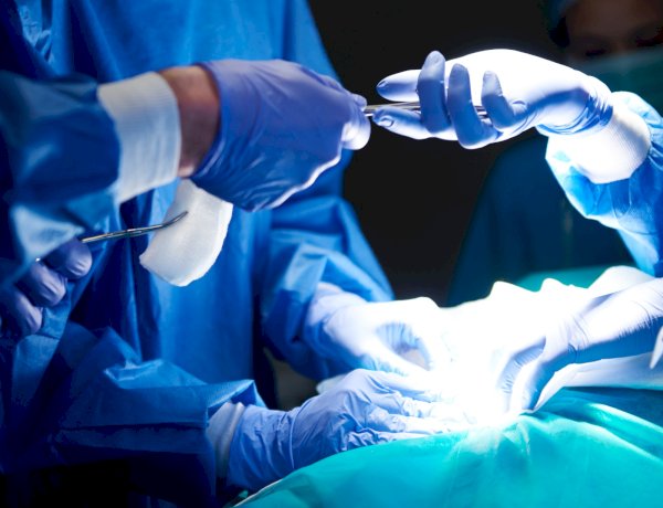Hospital São José chega ao 150º transplante renal e amplia trajetória como referência no tratamento de doenças renais