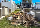 Prefeitura de Criciúma intensifica limpeza e manutenção dos cemitérios municipais para o Dia de Finados