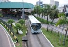 Ônibus para o Cemitério São Luiz terão saídas especiais dos terminais do Centro e do Pinheirinho em Finados