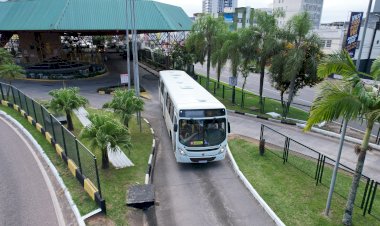 Ônibus para o Cemitério São Luiz terão saídas especiais dos terminais do Centro e do Pinheirinho em Finados