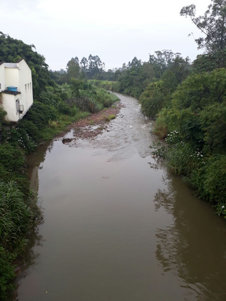 Possível crime ambiental é investigado em Treviso