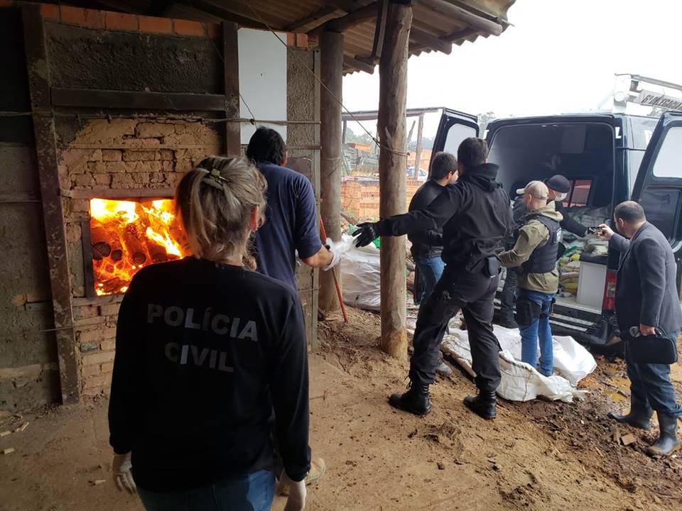 DIC incinera quase 800 kg de drogas em Criciúma