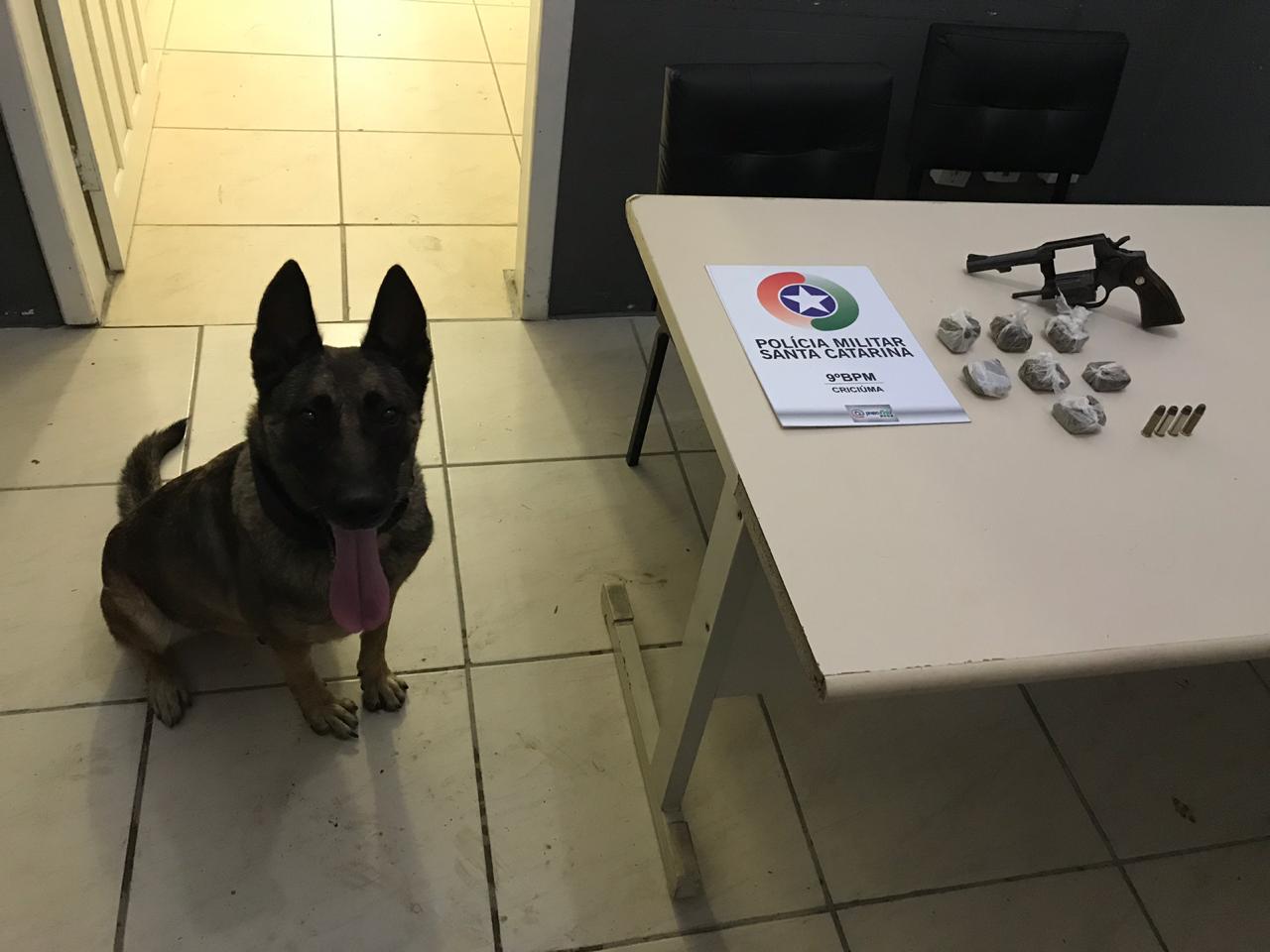 CÃO FLECHA DA PM LOCALIZA DROGAS E REVOLVER NO SAN DIEGO