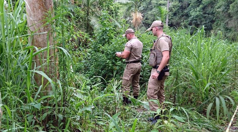 FILHA TRAMA MORTE DO PRÓPRIO PAI POR CAUSA\ DE HERANÇA NO RINCÃO