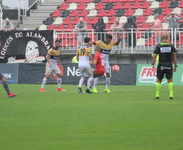 TIGRE PERDE EM JOINVILLE