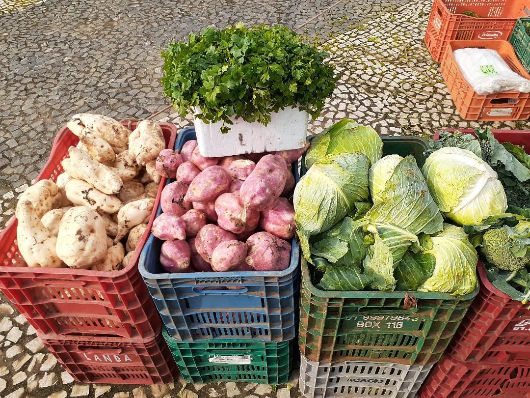 Criciúma aumentará para 59% o consumo de alimentos da agricultura familiar na rede municipal de ensino