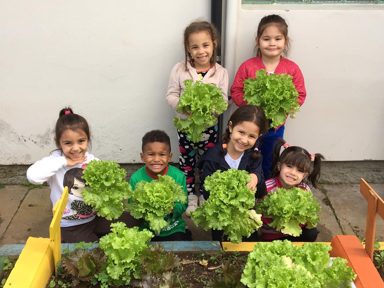 2º Concurso de Hortas Escolares movimenta estudantes da rede municipal de ensino de Criciúma