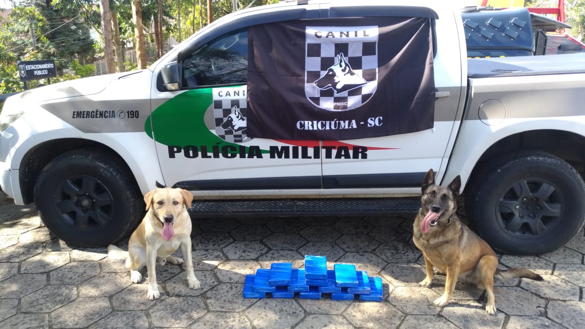 Com ajuda do Cão de faro, polícia encontra mais de 25 kg de cocaína com dupla de jovens