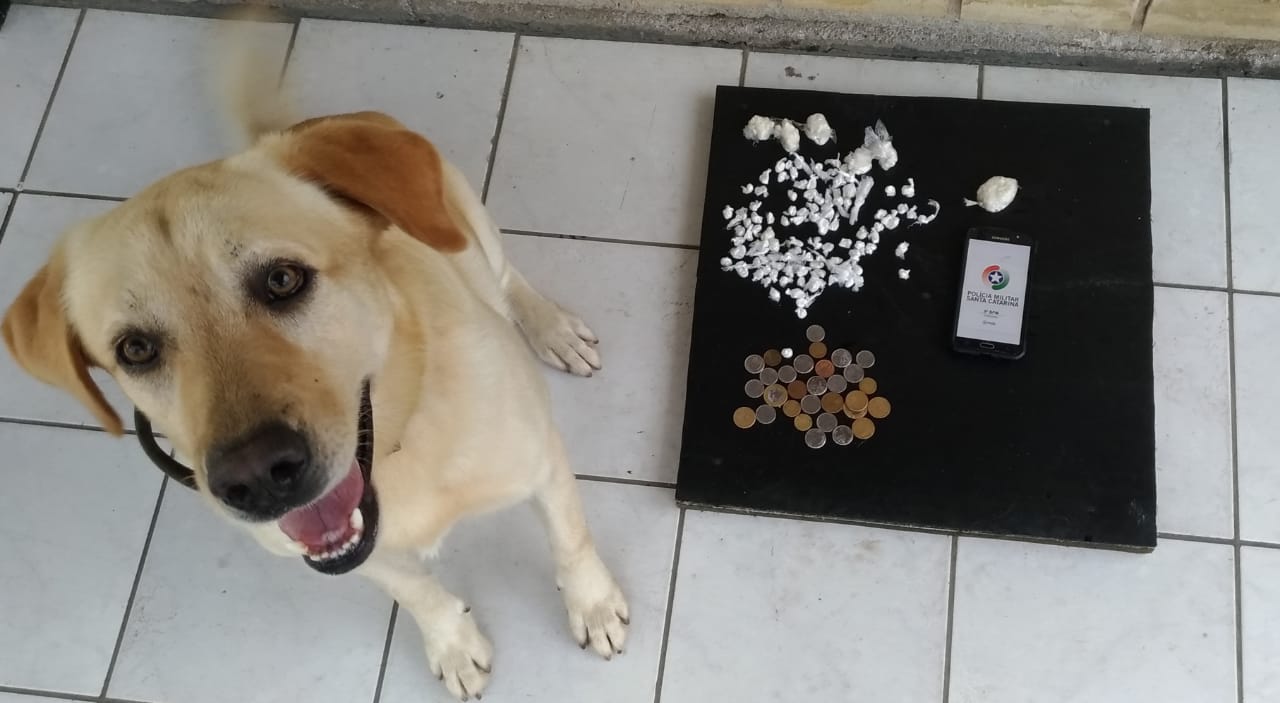 Polícia Militar encontra drogas em casa abandonada